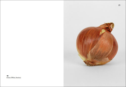 On Onions - Elad Lassry – Image 3