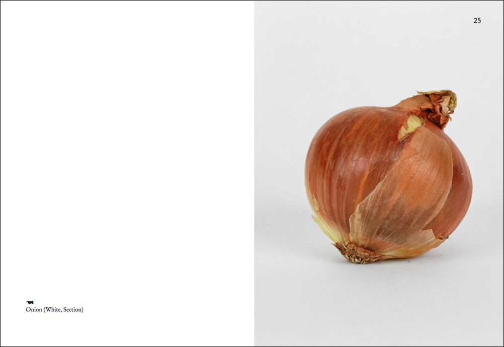 On Onions - Elad Lassry – Image 3