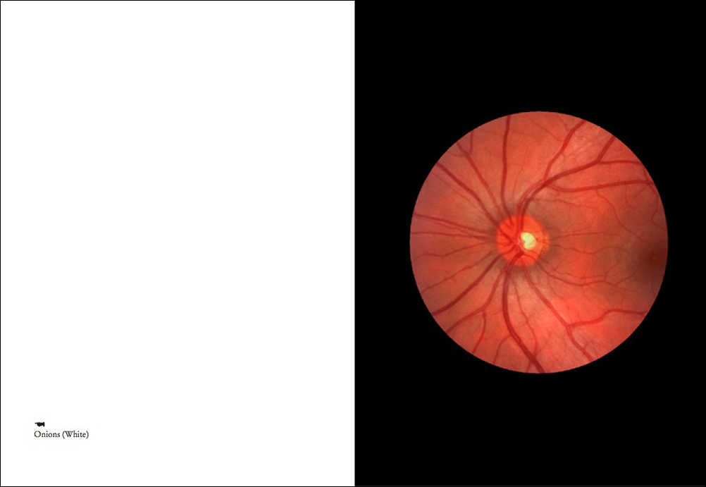 On Onions - Elad Lassry – Image 5