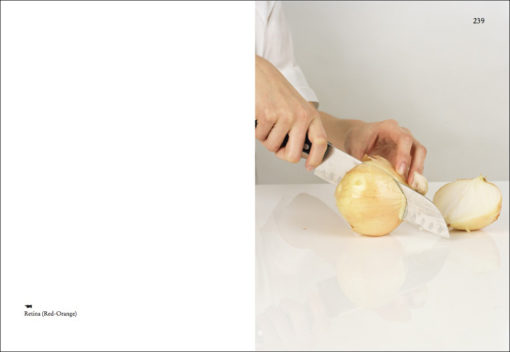 On Onions - Elad Lassry – Image 4
