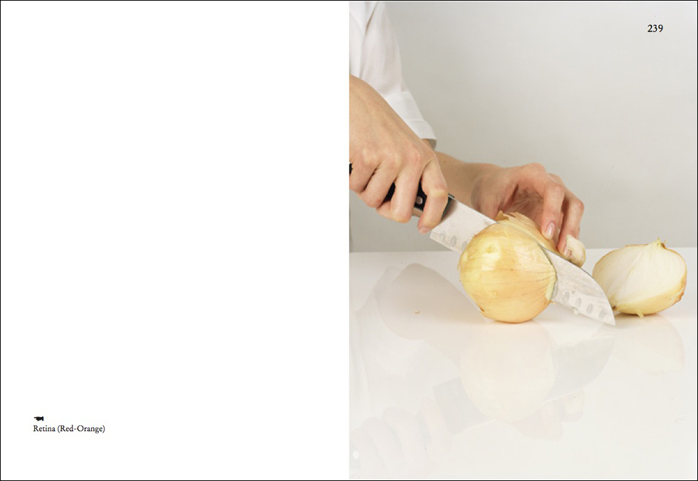 On Onions - Elad Lassry – Image 4