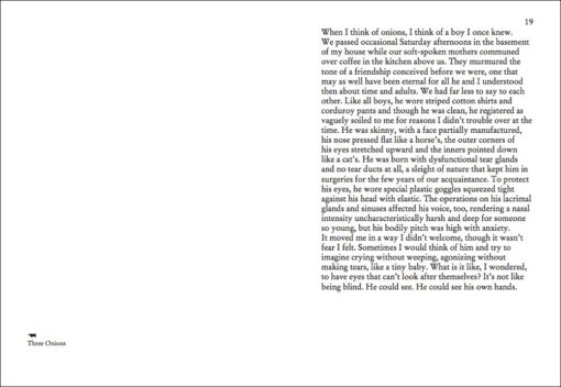 On Onions - Elad Lassry – Image 2