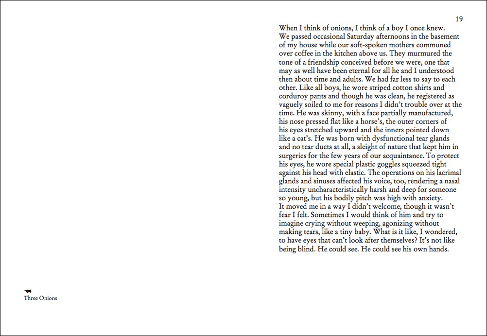 On Onions - Elad Lassry – Image 2