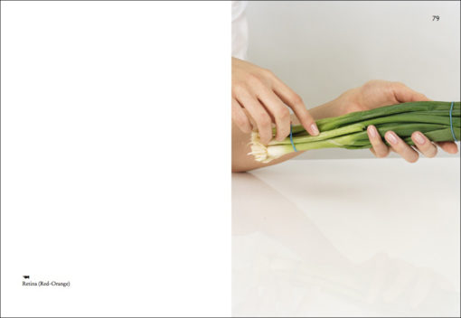 On Onions - Elad Lassry – Image 8