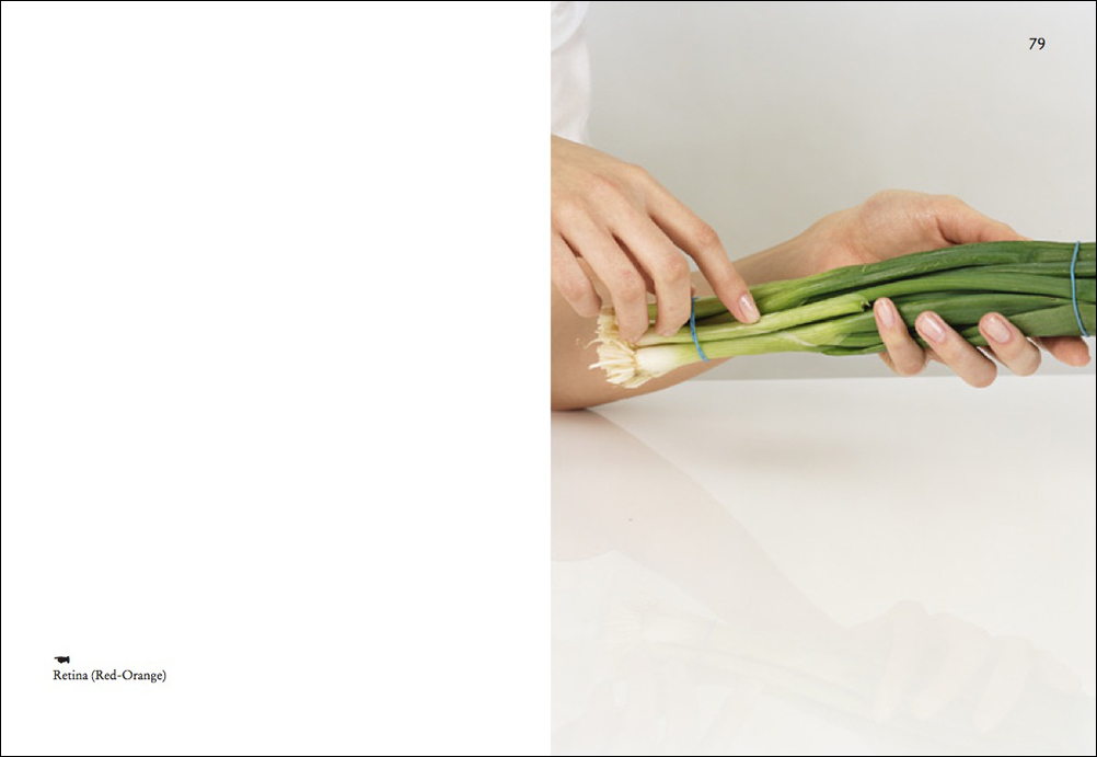On Onions - Elad Lassry – Image 8