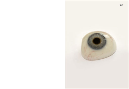 On Onions - Elad Lassry – Image 7