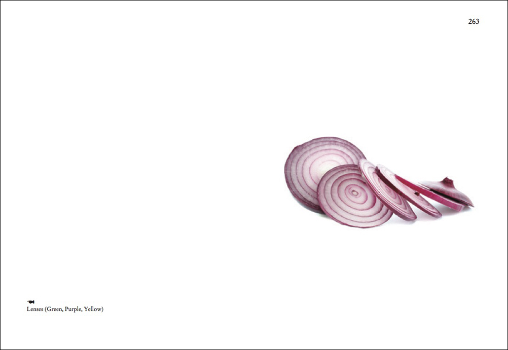 On Onions - Elad Lassry – Image 6
