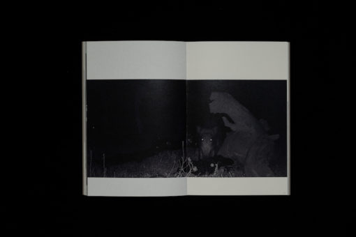 bertrik (vol. 0) – Image 6