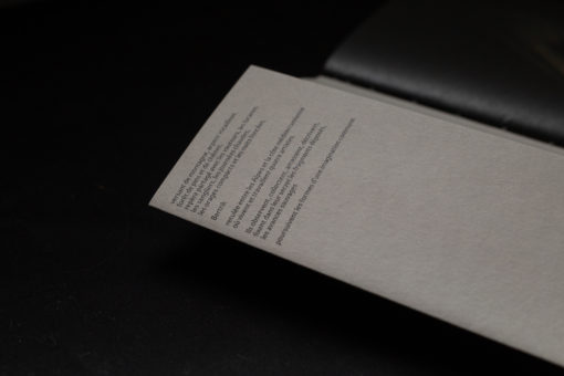 bertrik (vol. 0) – Image 9