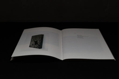 bertrik (vol. 0) – Image 11