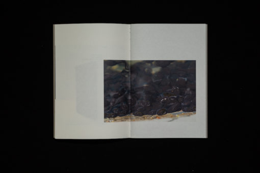 bertrik (vol. 0) – Image 3
