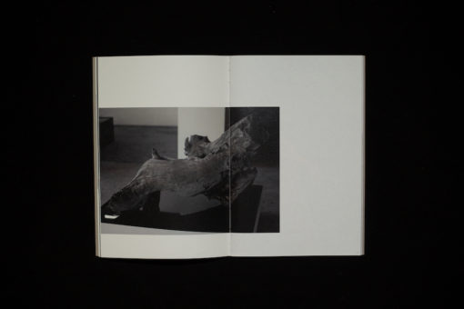bertrik (vol. 0) – Image 4