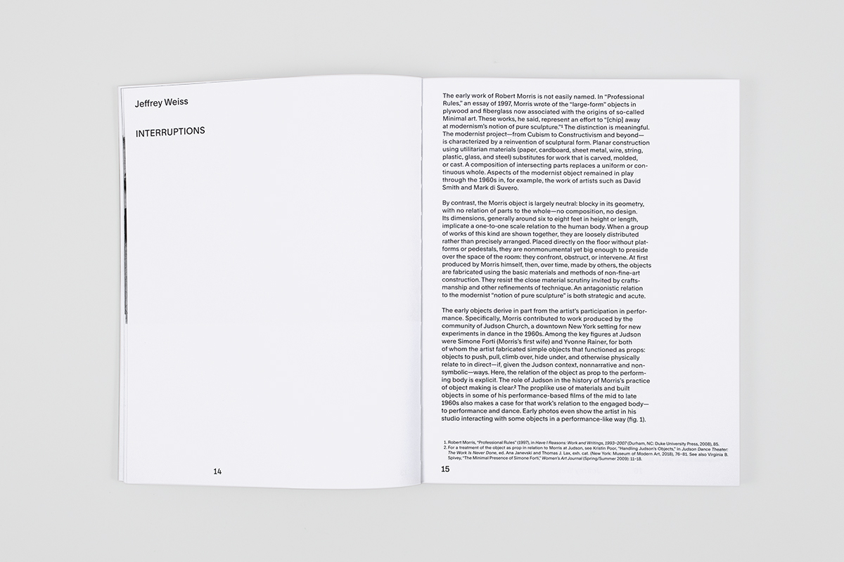 Robert Morris - The Perceiving Body – Image 3