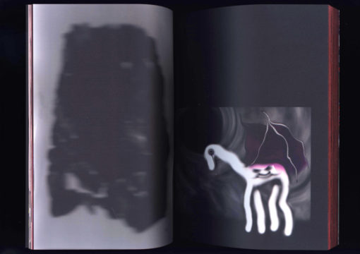 Blessure Magazine V – Image 16