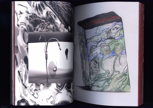 Blessure Magazine V – Image 15
