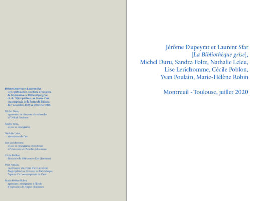 La Bibliothèque grise - Jérôme Dupeyrat & Laurent Sfar – Image 2