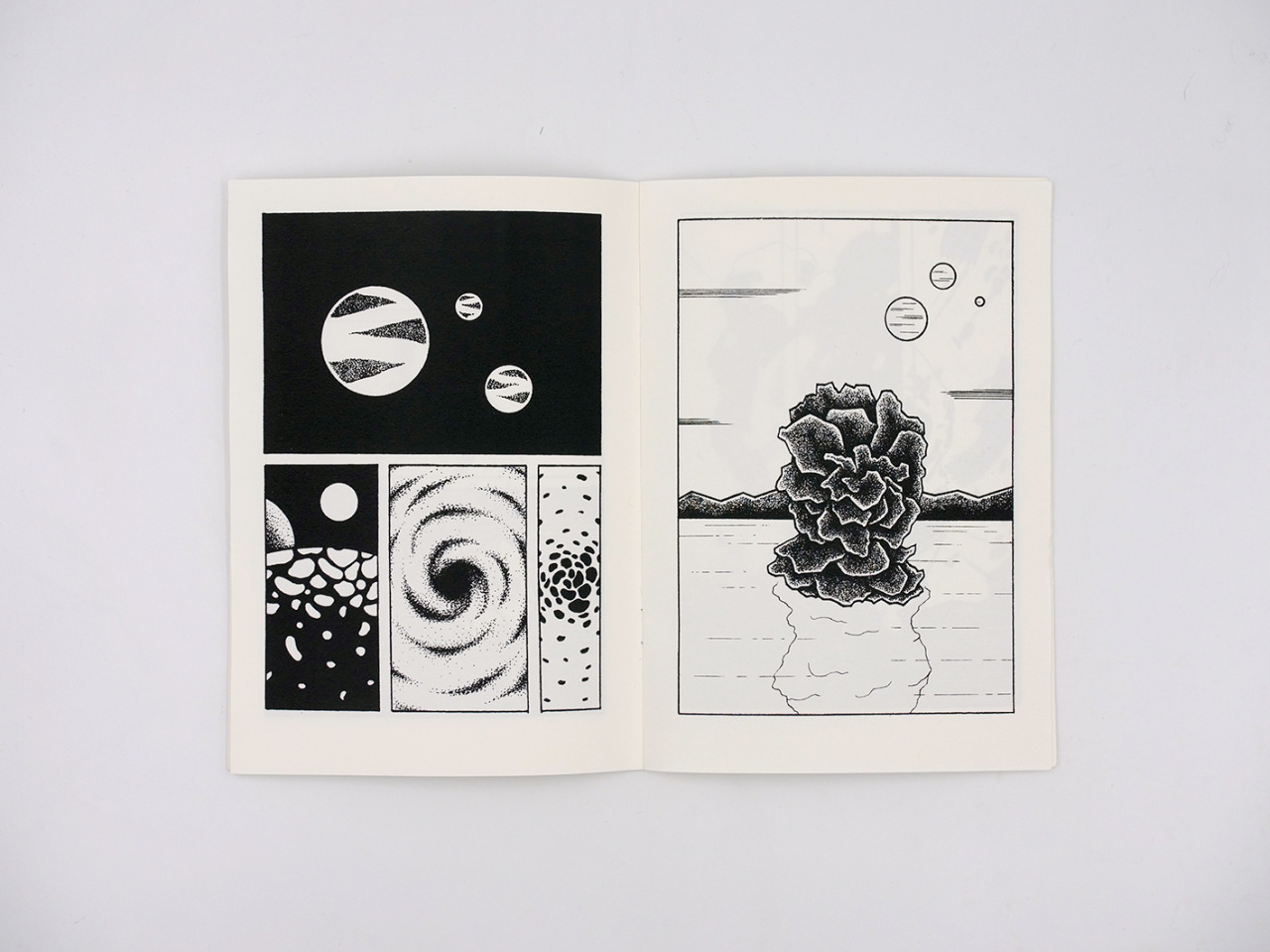 Epiphanie - Lucas Burtin – Image 4