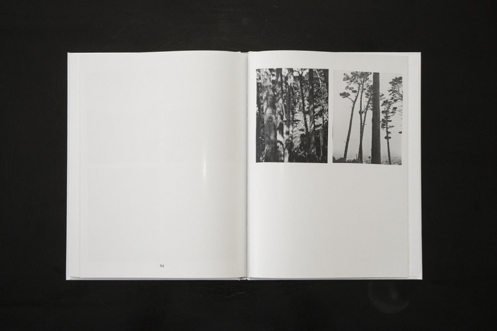 Ici - Louis Gary – Image 12