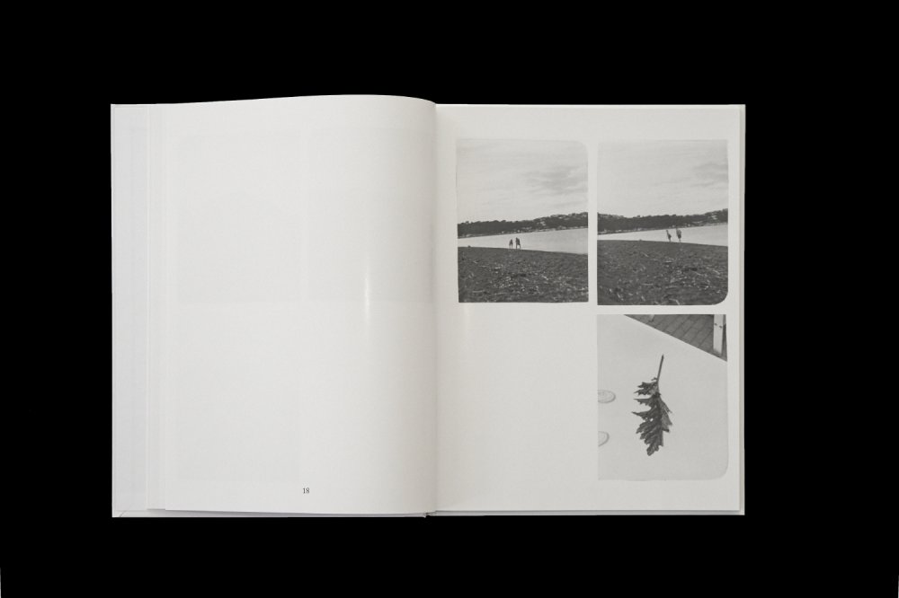 Ici - Louis Gary – Image 3