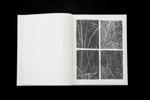 Ici - Louis Gary – Image 7