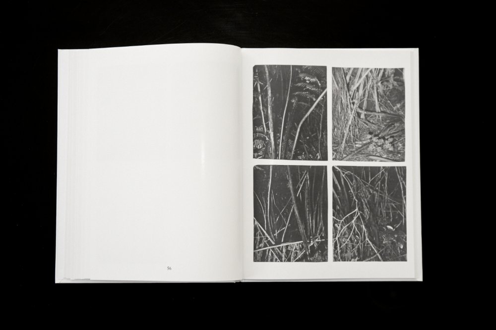Ici - Louis Gary – Image 7