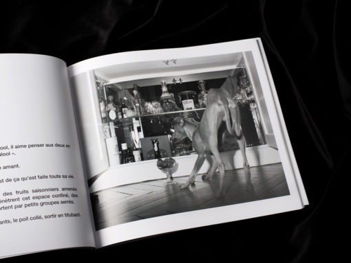 Entrez sans sonnet - Julie Redon – Image 3