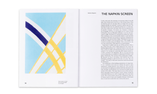 Country Happening - Diego thielemans & Benjamin De Backer – Image 3