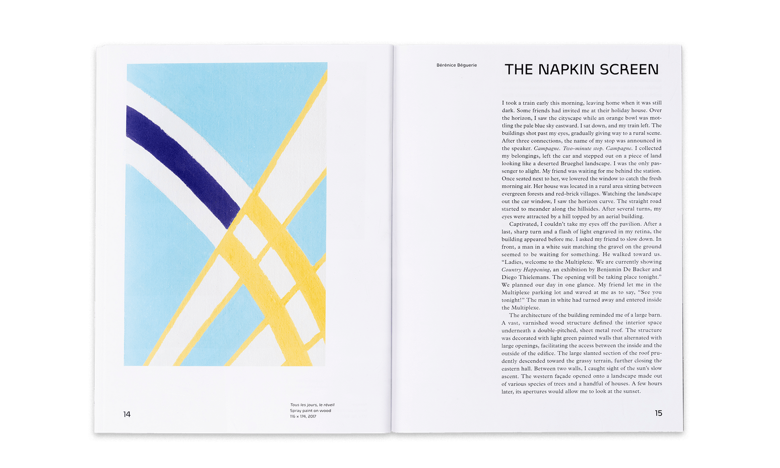 Country Happening - Diego thielemans & Benjamin De Backer – Image 3