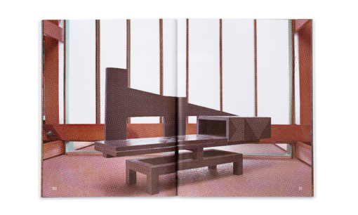 Country Happening - Diego thielemans & Benjamin De Backer – Image 7