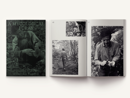 John Cage: A Mycological Foray – Image 3