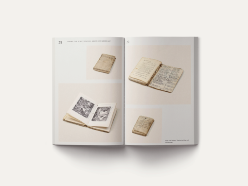 John Cage: A Mycological Foray – Image 4