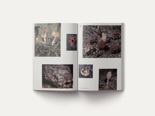 John Cage: A Mycological Foray – Image 6