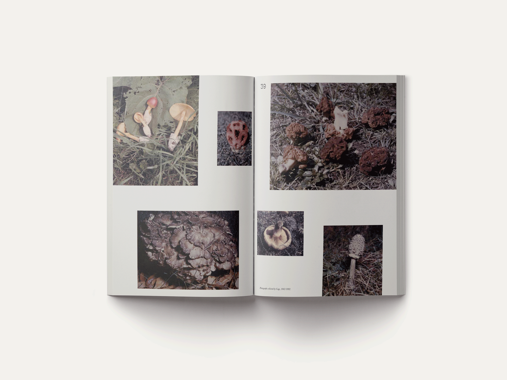 John Cage: A Mycological Foray – Image 6