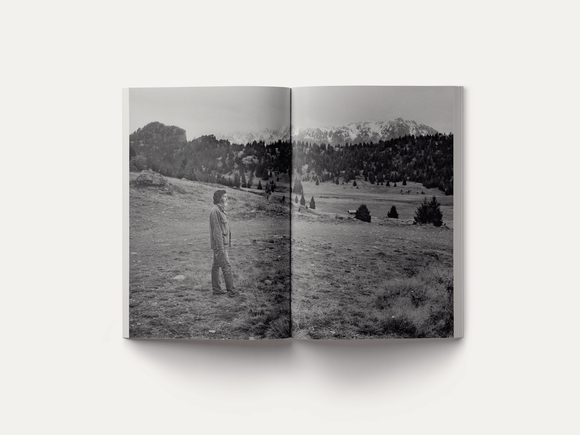 John Cage: A Mycological Foray – Image 7