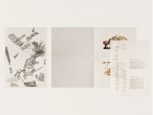 John Cage: A Mycological Foray – Image 10