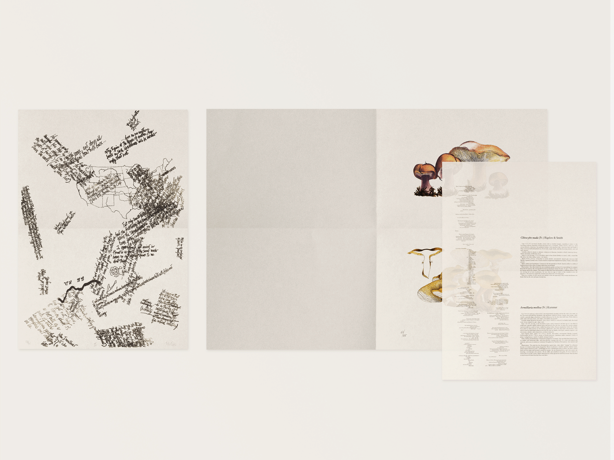 John Cage: A Mycological Foray – Image 10