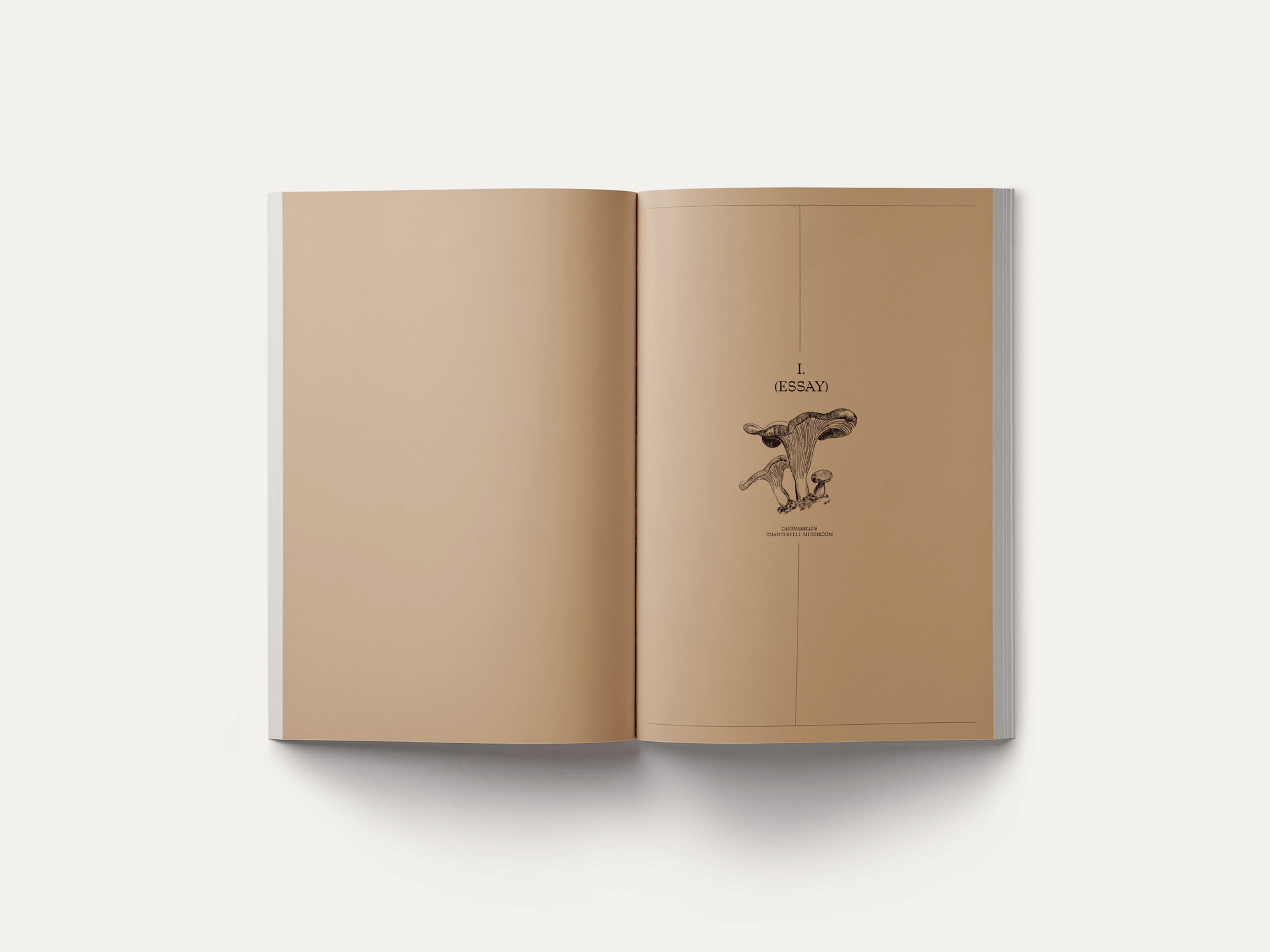John Cage: A Mycological Foray – Image 11