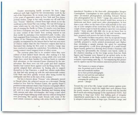 Migrant Mother, Migrant Gender - Sally Stein – Image 7