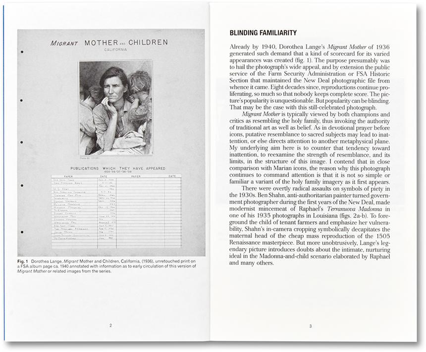 Migrant Mother, Migrant Gender - Sally Stein – Image 3