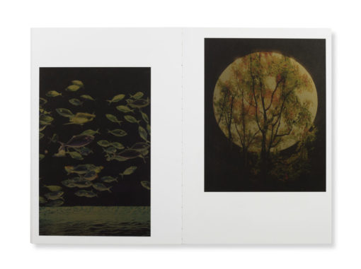 Remembering the future - Angel Albarrán, Anna Cabrera – Image 4