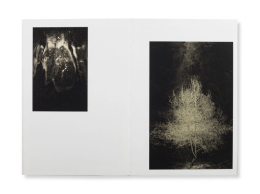 Remembering the future - Angel Albarrán, Anna Cabrera – Image 6