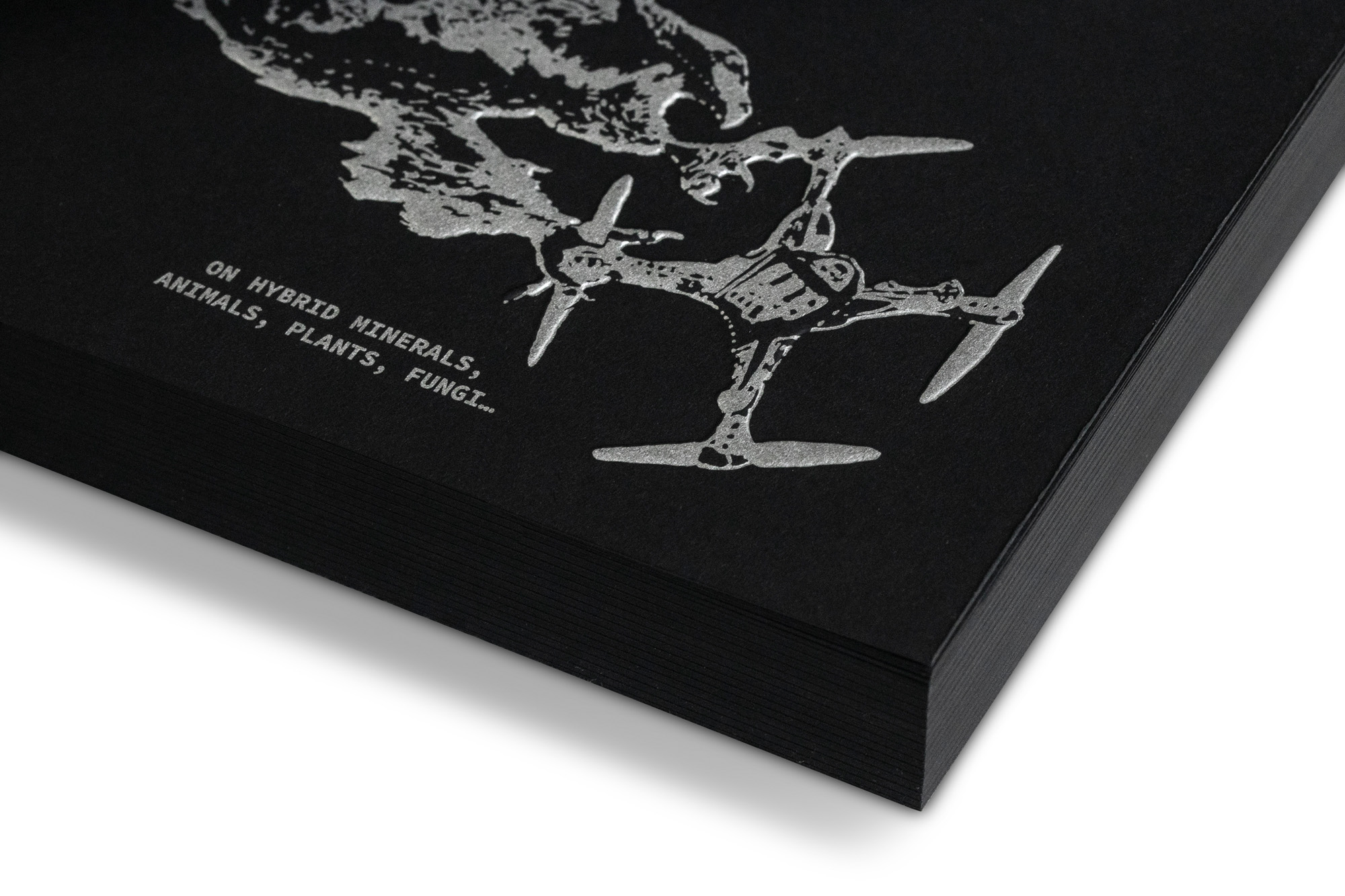 A Bestiary of the Anthropocene - Coll – Image 6