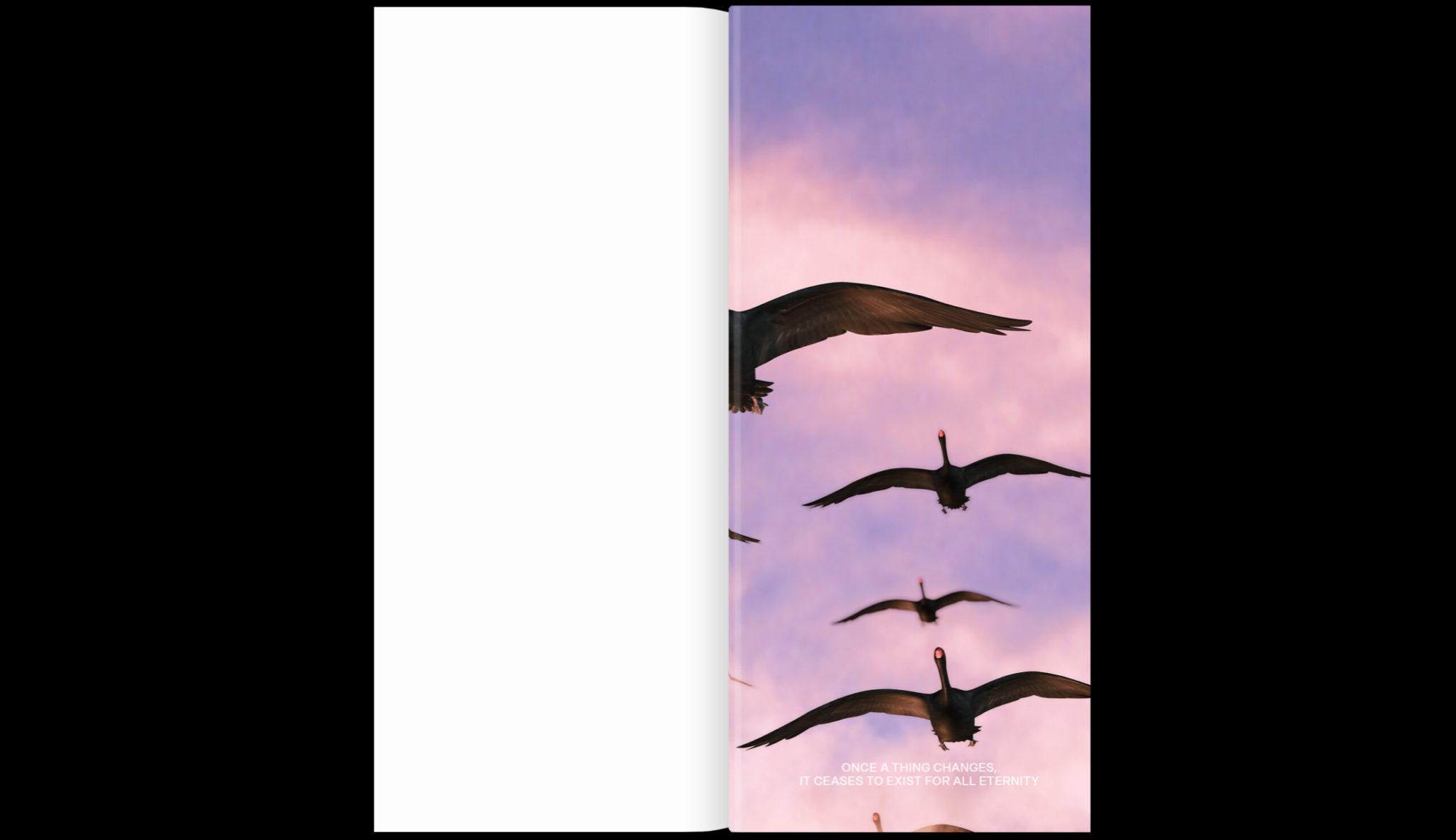 REAL REVIEW 10 – Image 6