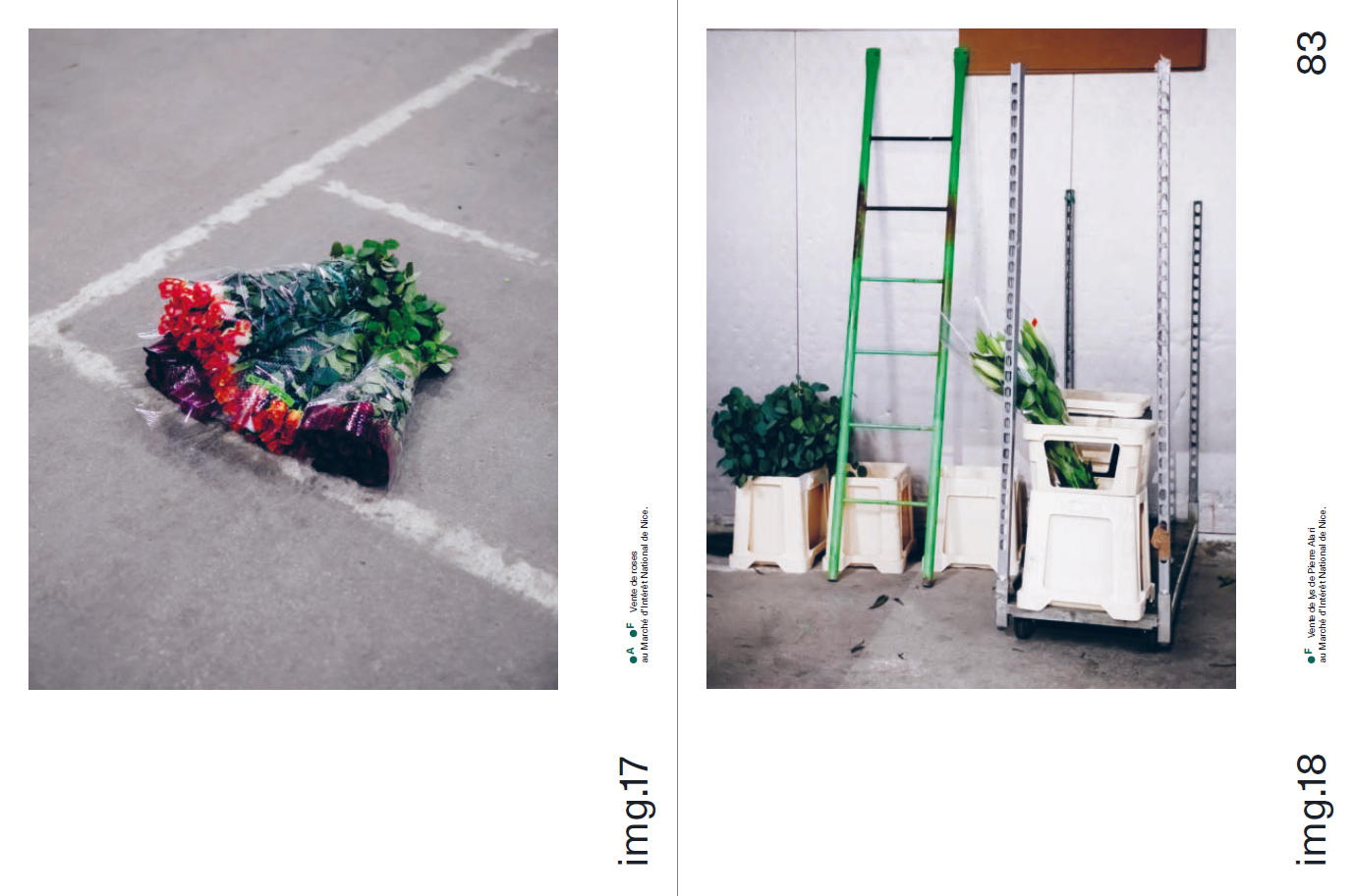 Offrir des fleurs – Image 13