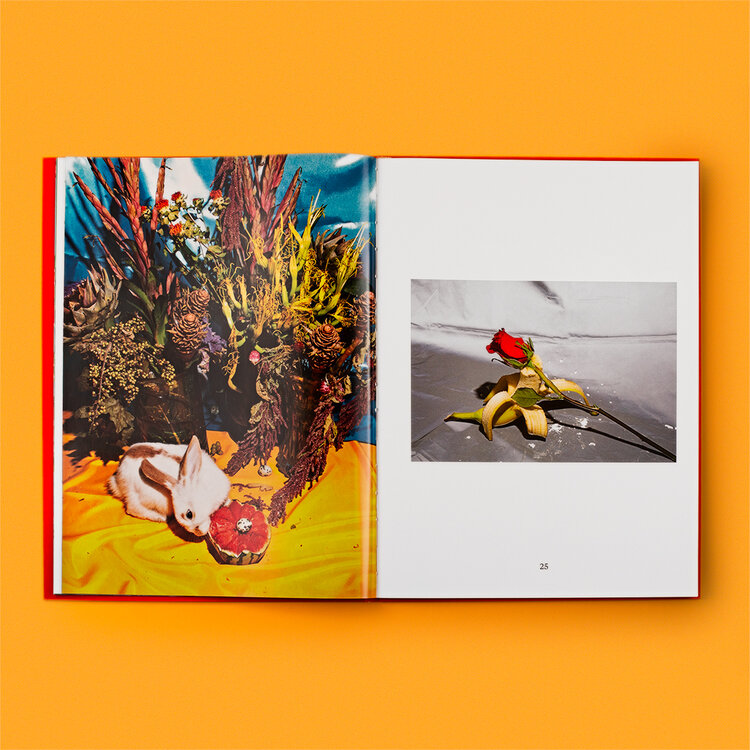 Special Nothing Book - Phyllis Ma – Image 4