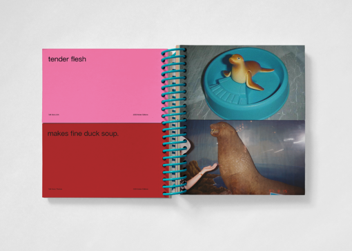 Talk Soon - Erik Kessels & Thomas Sauvin – Image 6
