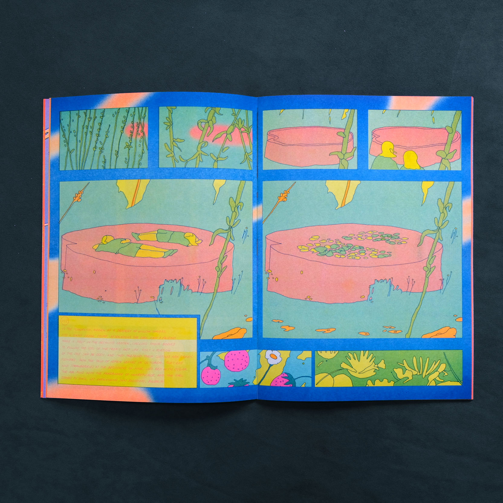 Cédars - Maria Medem – Image 7