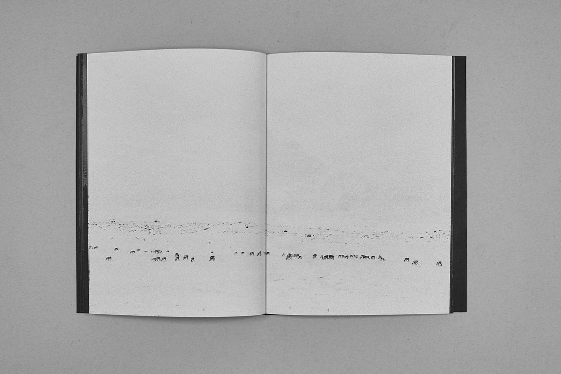 Landslag - Bastien Santanoceto – Image 2