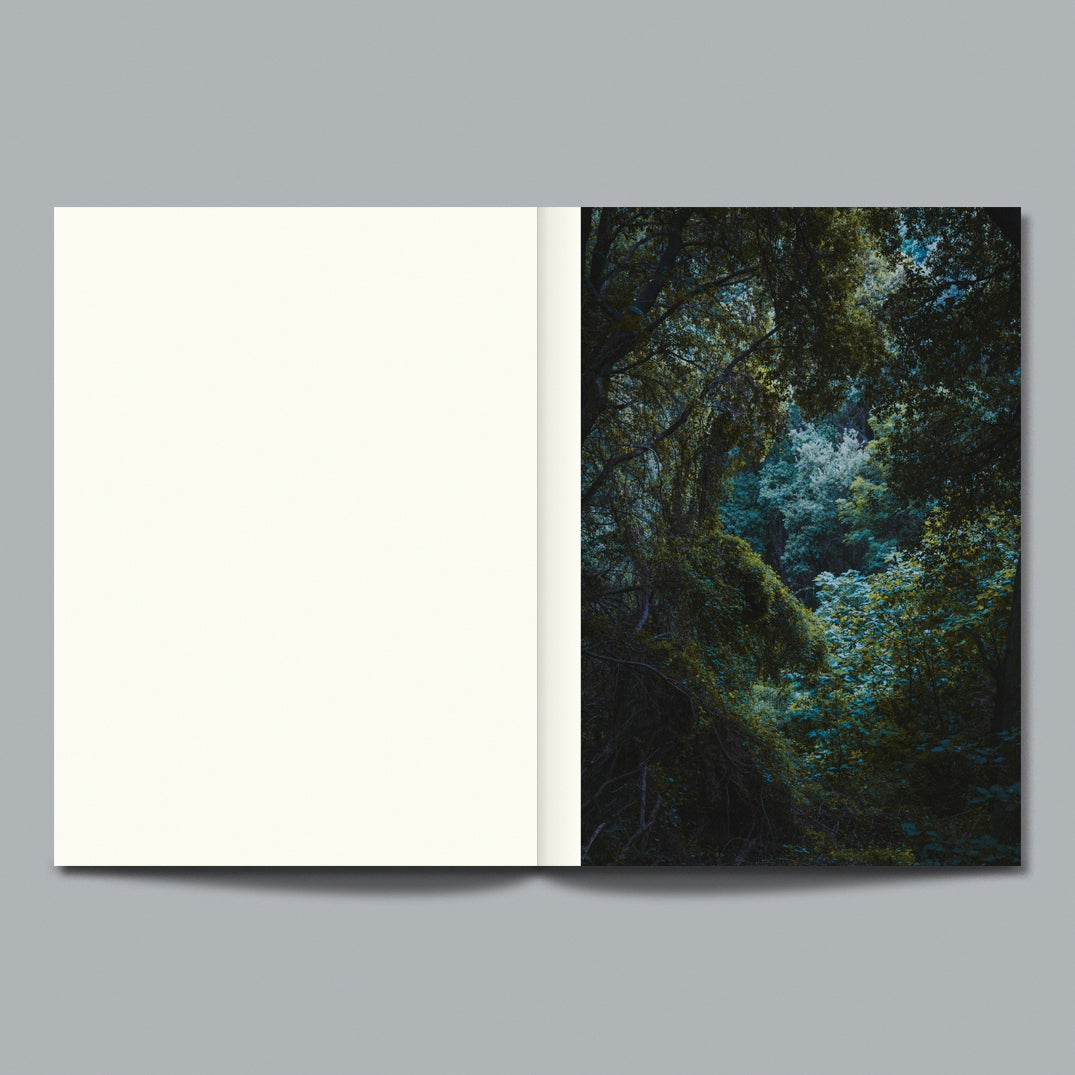 Mythologie - Letizia Le Fur – Image 2