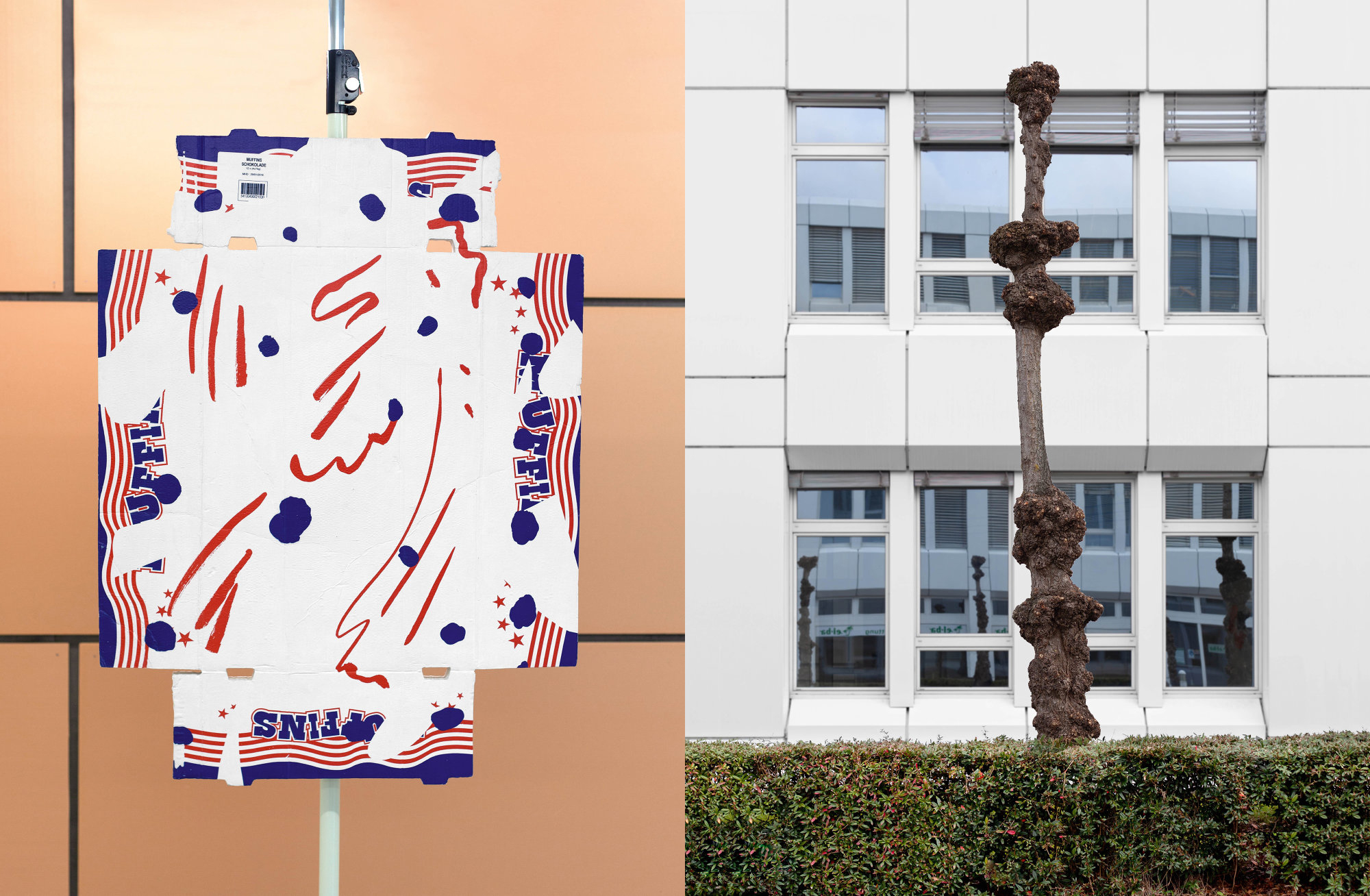 Agglorhythmus - Bastien Aubry – Image 4